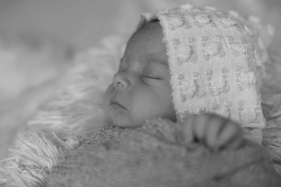 sesion-recien-nacido-en-lleida-balaguer_MG_3985