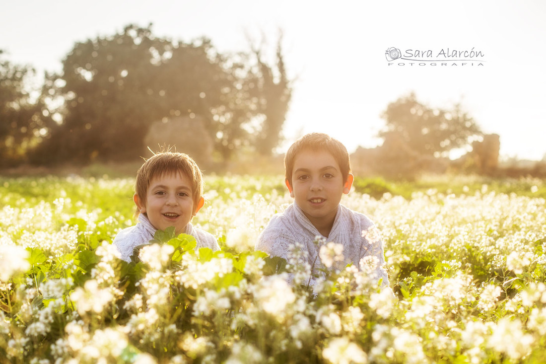 sesion-fotos-familiar-balaguer_MG_3614