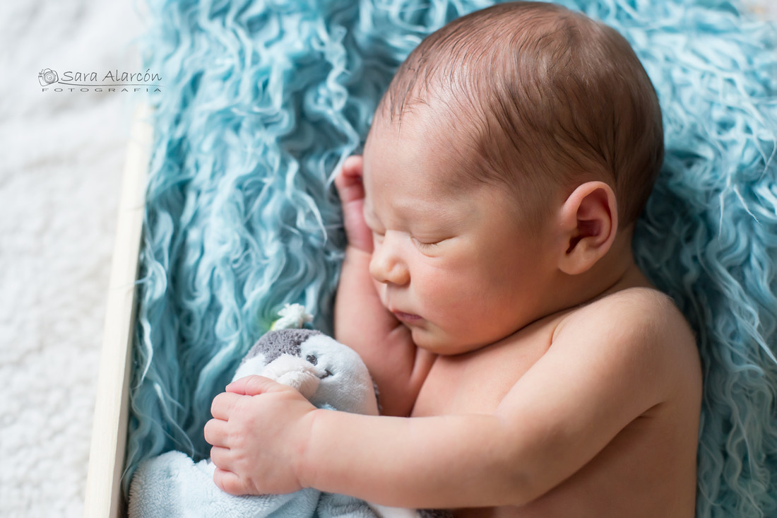 sesion-fotos-recien-nacido-en-lleida-españa-cataluña_MG_5713