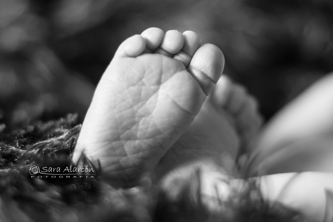 sesion-fotos-recien-nacido-en-lleida-españa-cataluña_MG_5762