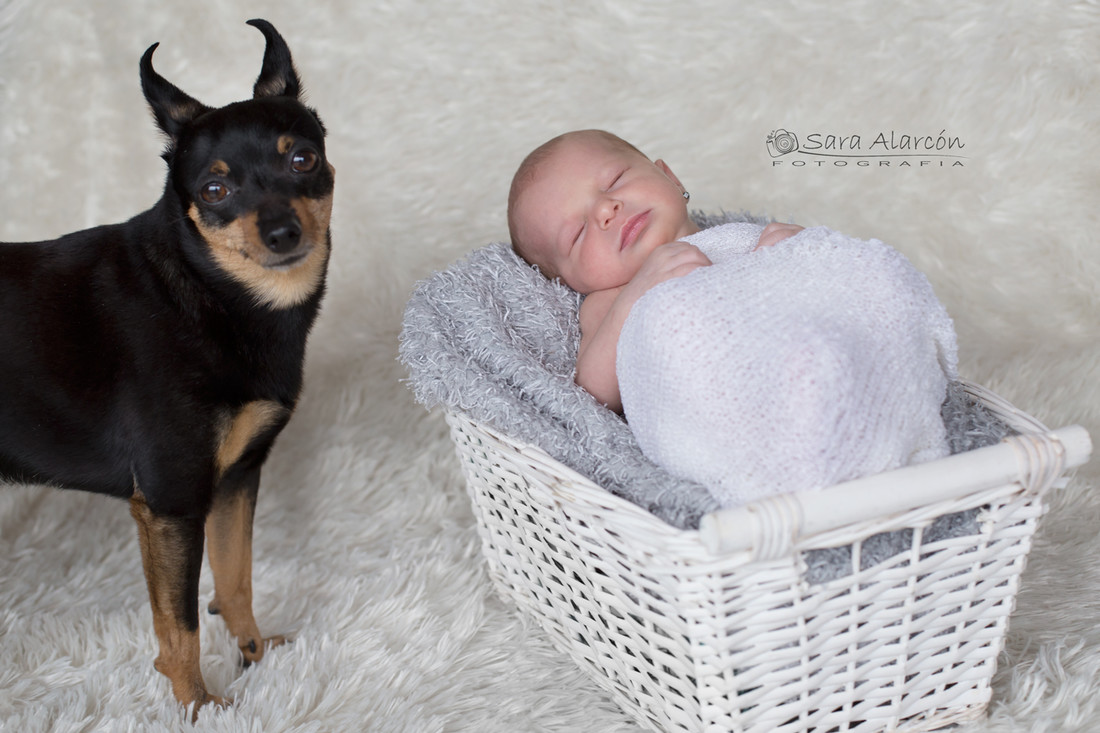 sesion-fotos-recien-nacido-lleida-newborn_MG_5392