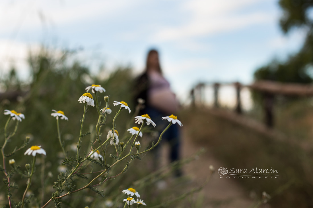 reportaje-embarazo-lleida_MG_0705